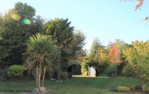 Jardin_Automne_Location_Fouesnant