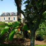 Chambre d'hotes Finistère sud