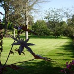 gite-chambres-bretagne-31